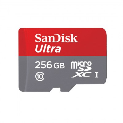 SanDisk Ultra microSDXC UHS-I U1 256Gb5